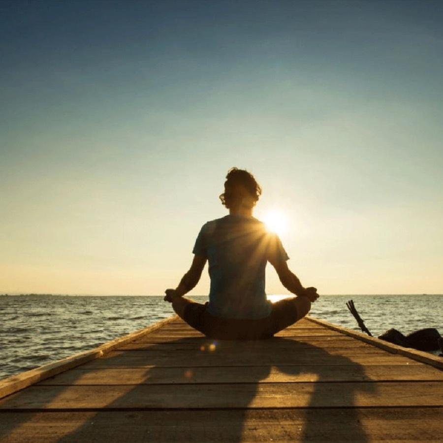 Thiền cho người năng động và hoài nghi (Meditation for Fidgety Skeptics) - Bản Quyền