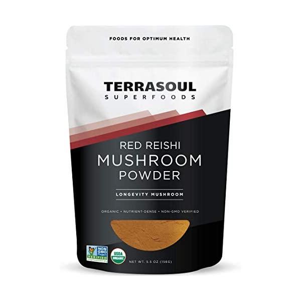 Terrasoul Superfoods Organic Lion's Mane Mushroom Powder , 11 Ounces