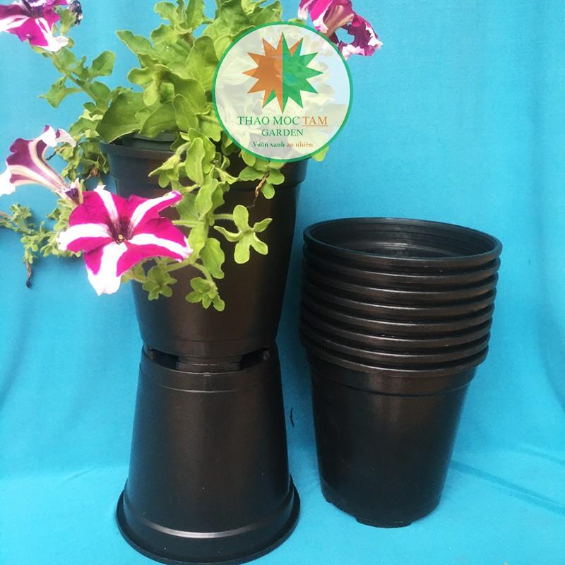 05c Chậu nhựa cứng 19x20cm – Chậu nhựa tròn cứng, dày, thích hợp trồng hoa hồng , hoa chậu, cây kiểng