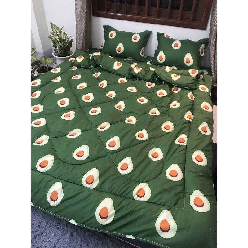 Chăn phao poly siêu nhẹ hình bơ xanh