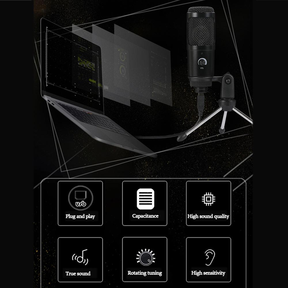 Micrô Ghi âm Giọng hát đế kim loại nhỏ cho máy tính xách tay USB Home