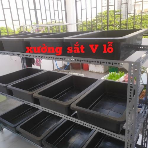 kệ trồng rau v lỗ ( sắt V3x3cm),khung kệ trồng rau,kệ trồng rau sạch,khung kệ đa năng,kệ sắt v lô trồng rau