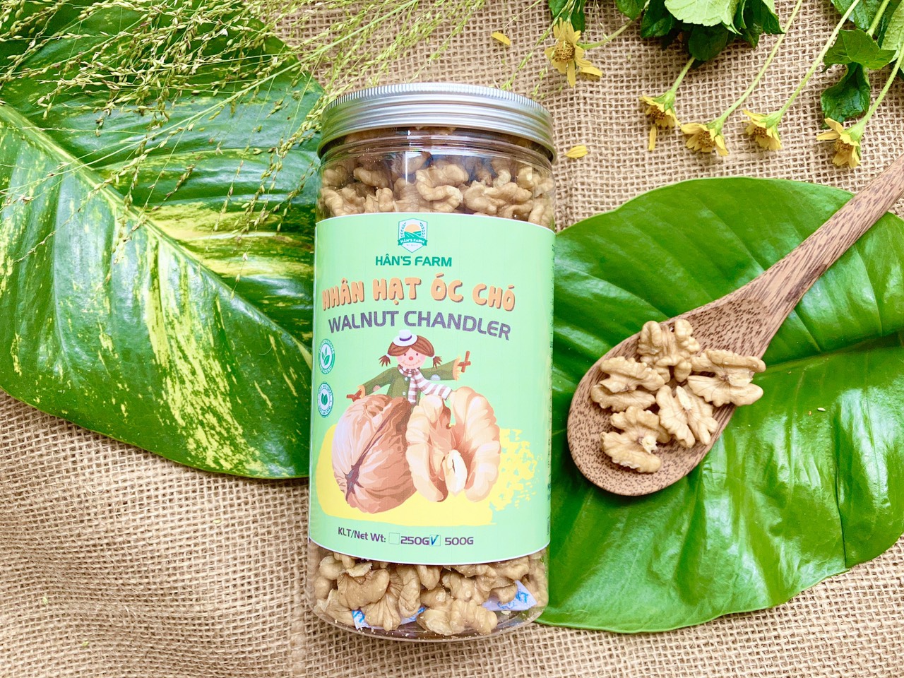 Nhân hạt óc chó Chandler Mỹ/Chile không biến đổi gen _Walnuts Chandler Grade 1_USA/Chile non GMO