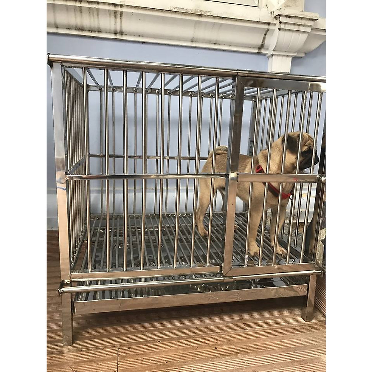 Chuồng chó Inox Juno Sofa KT Không có mái che