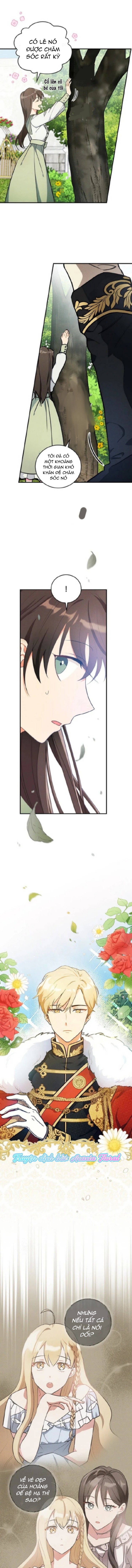 chạy đi, maelle chapter 4 14