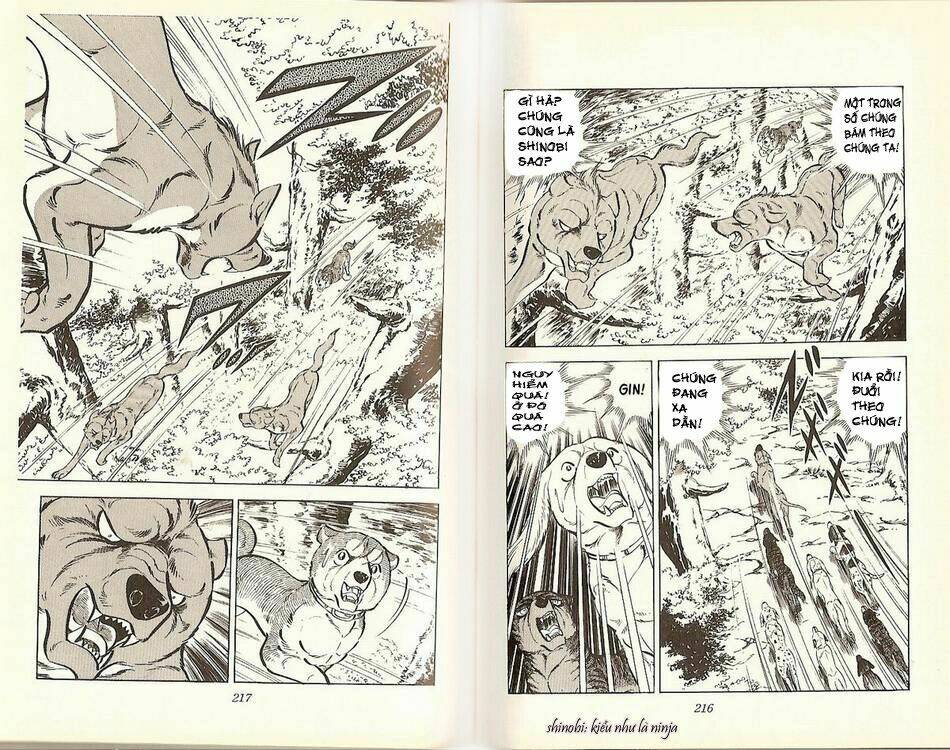 chú chó có nghĩa - ginga nagareboshi gin chapter 17 15