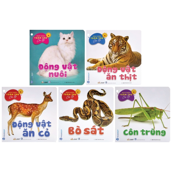 Combo Bách Khoa Toàn Thư Cho Bé - Bộ 10 Cuốn - Vanlangbooks