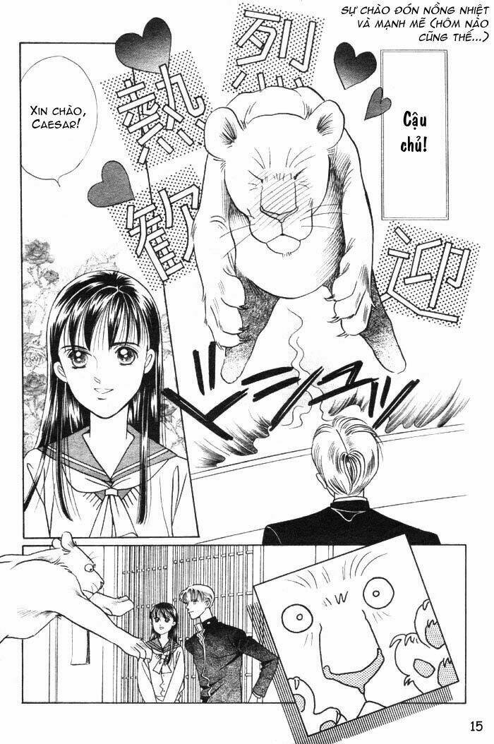 wild cats chapter 1 18