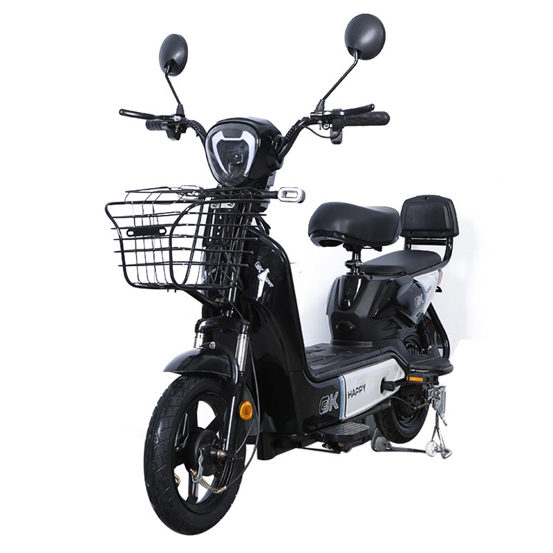 Xe Đạp Điện Phiên Bản Mới Nhất Hàng Tiêu Chuẩn Quốc Gia