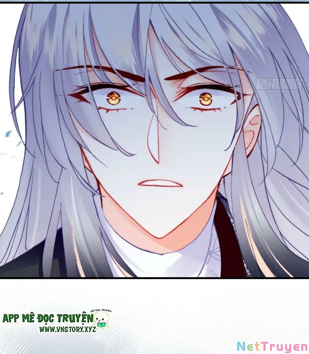 lại bị bệnh chiều chuộng quấn lấy chapter 60 61