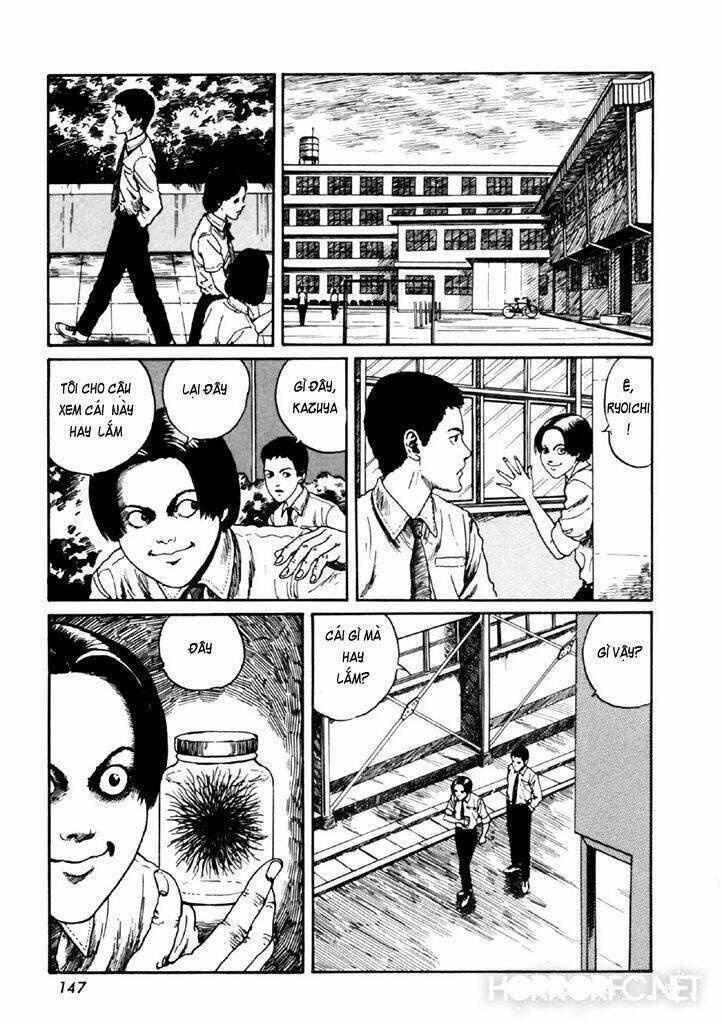 tuyển tập truyện ngắn kinh dị của ito junji chapter 14.4 14