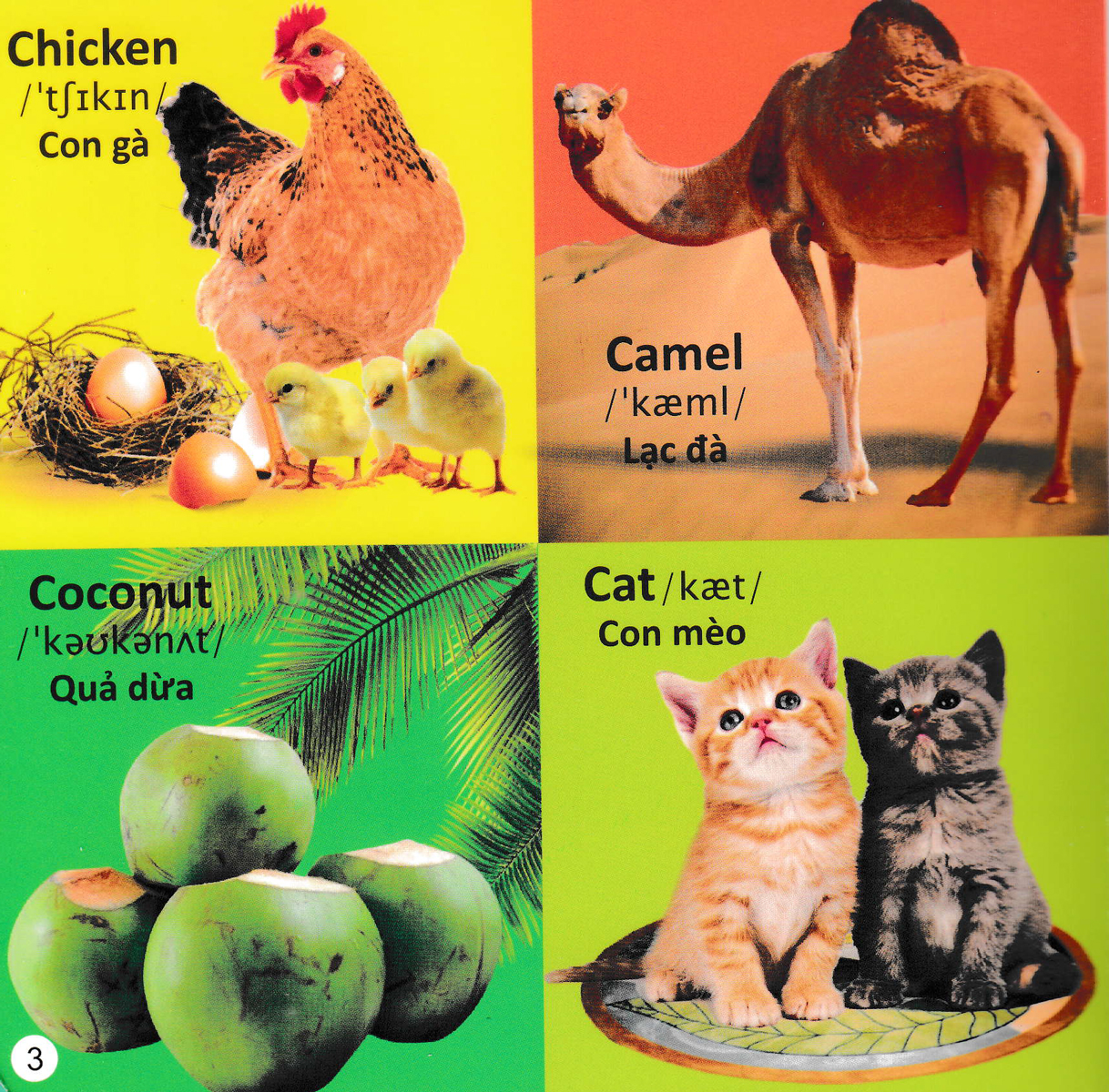 101 Từ Đầu Tiên - Bảng Chữ Cái Tiếng Anh