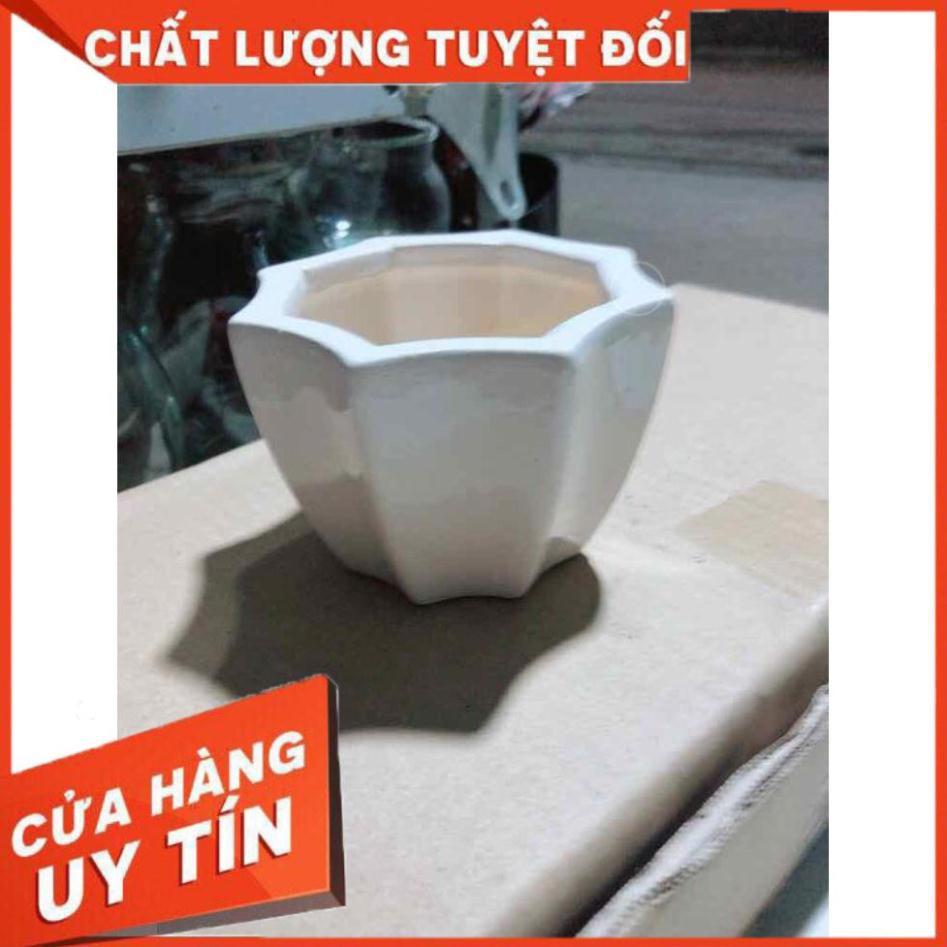 Chậu Trồng Cây Nhiều Người Mua