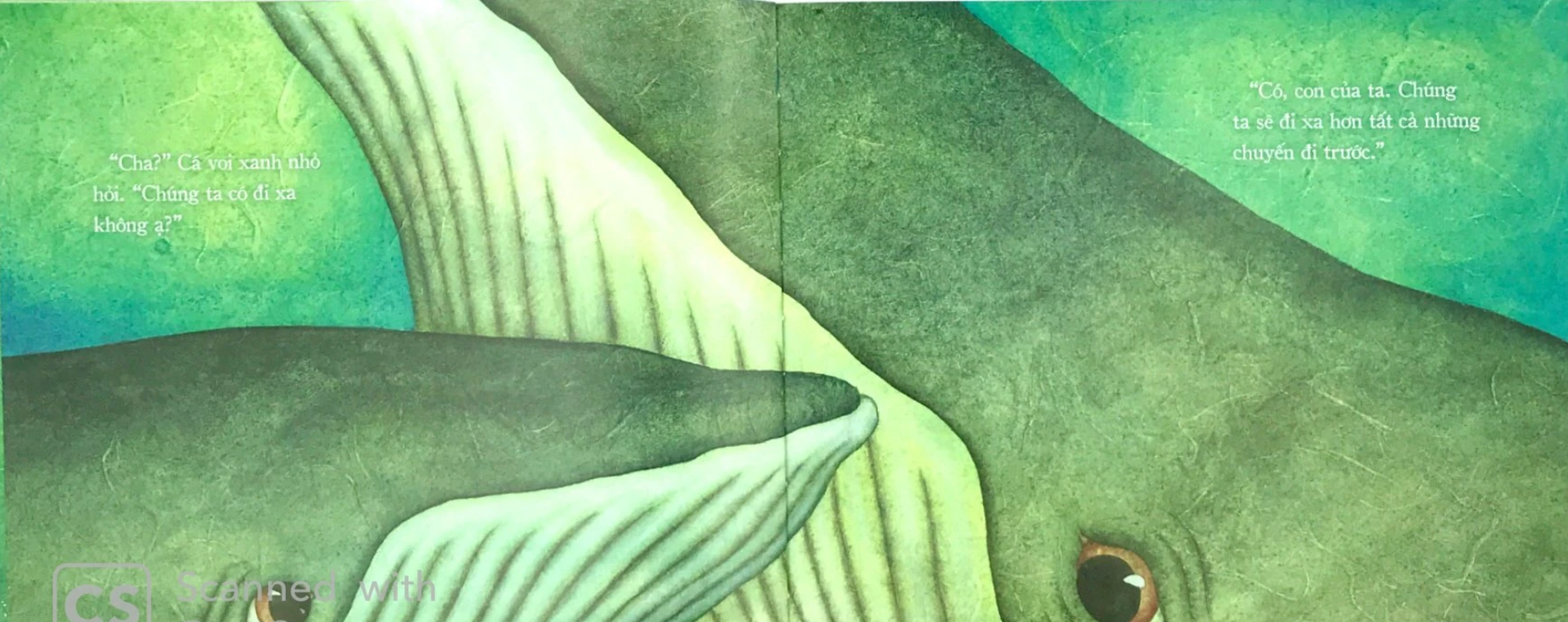 Theo Bài Hát Của Cha
