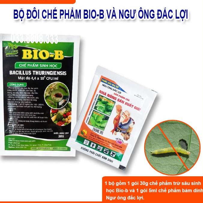 COMBO TRỪ SÂU SINH HỌC DIỆT NHANH TẬN GỐC GỒM BIO-B VÀ NGƯ ÔNG ĐẮC LỢI