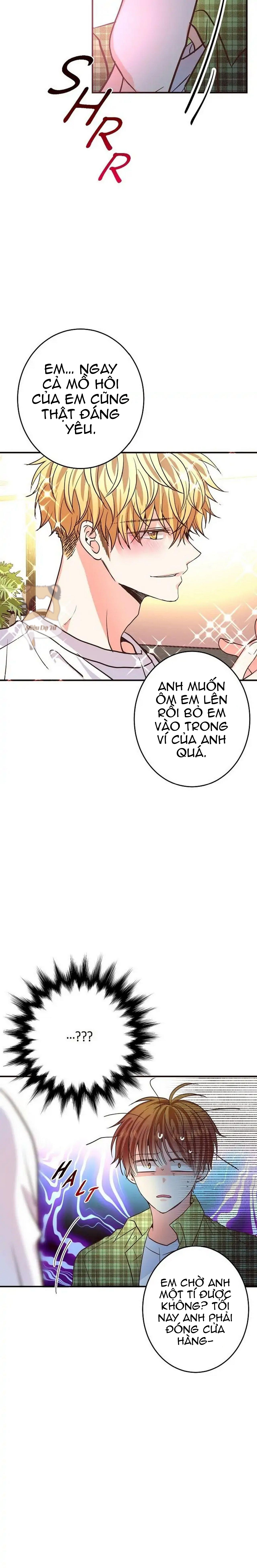 mối quan hệ phù hợp chapter 20 20