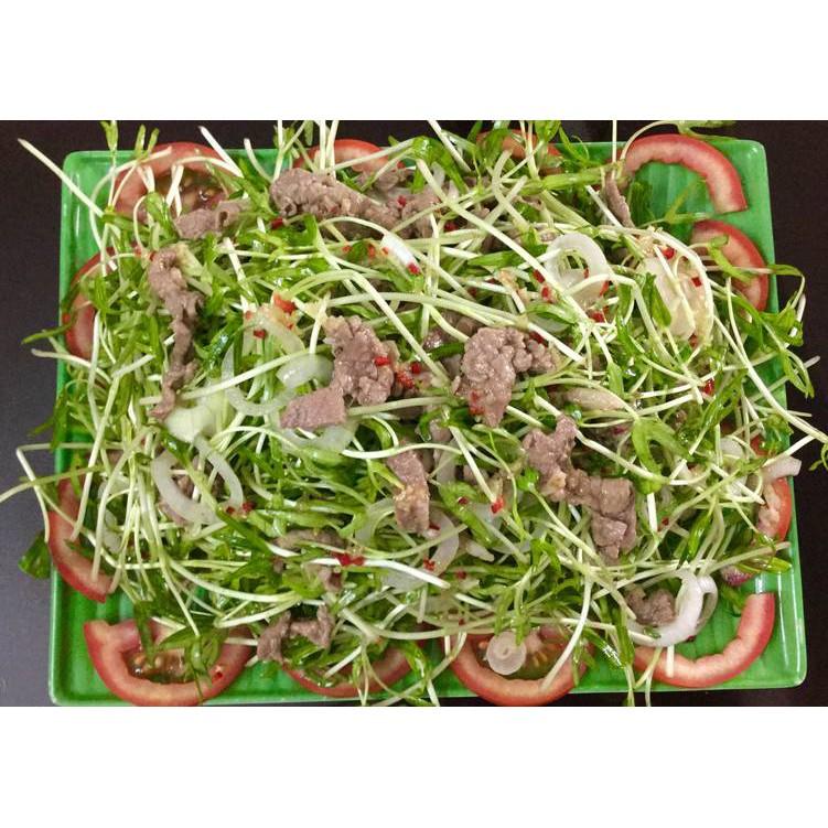 Hạt Giống Mầm Rau Muống, Rau Mầm 100 Gram Rạng Đông