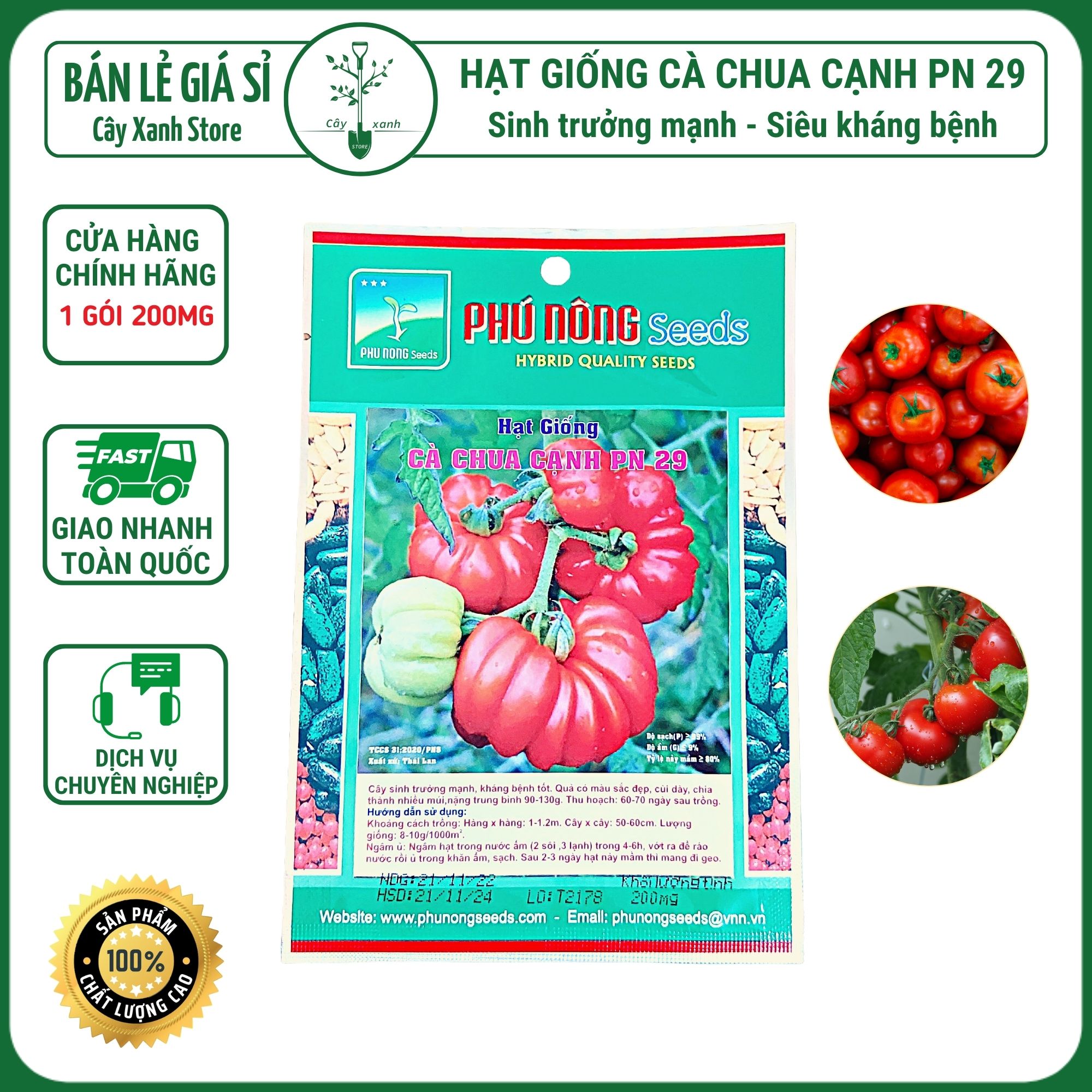 Hạt giống cà chua cạnh PN 29 gói 200mg Phú Nông Seeds sinh tưởng mạnh siêu kháng bệnh - Cây Xanh Store