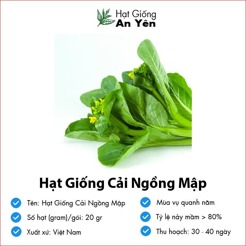 Hạt giống Cải Ngồng Mập, nhanh thu hoạch, dễ trồng, nảy mầm và năng suất cao