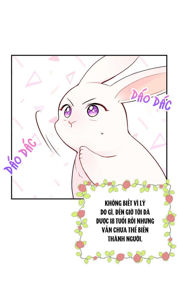 mối liên kết giữa báo đen và bé thỏ chapter 2 3