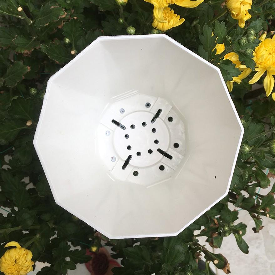 Bộ 10 chậu hoa mười cạnh màu trắng 15x13cm-Đồ Gia Dụng Tại HCM