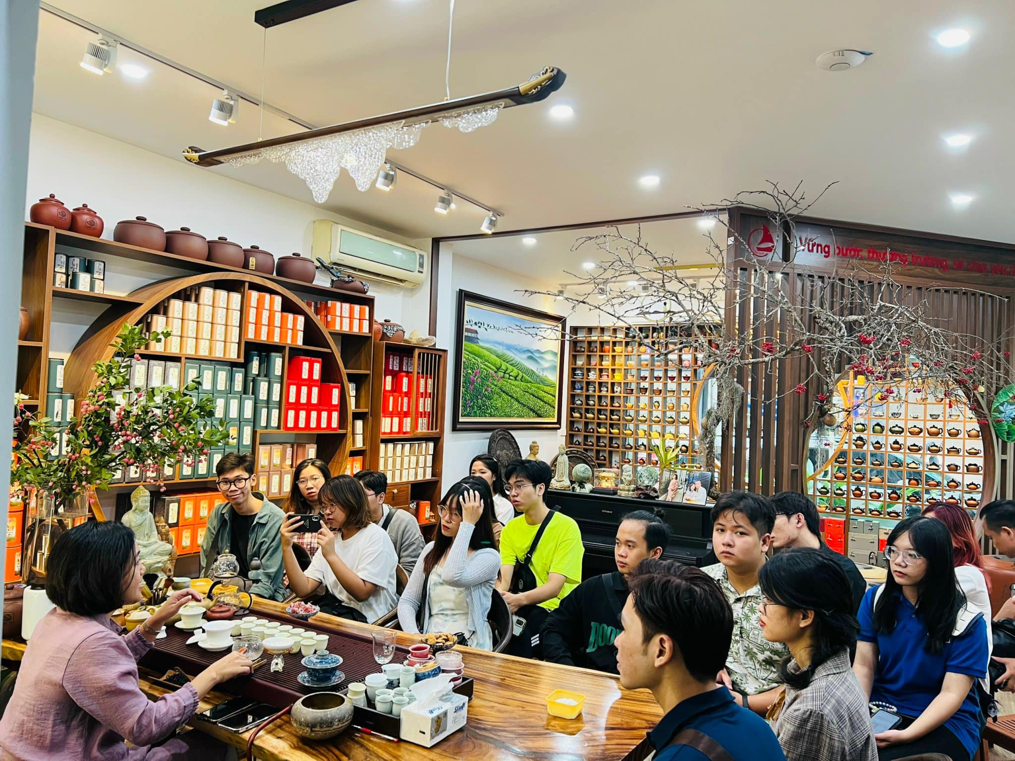 Lục Trà Đường Hoa, Trà xanh Đường Hoa, Tinh hoa Trà cho người Việt