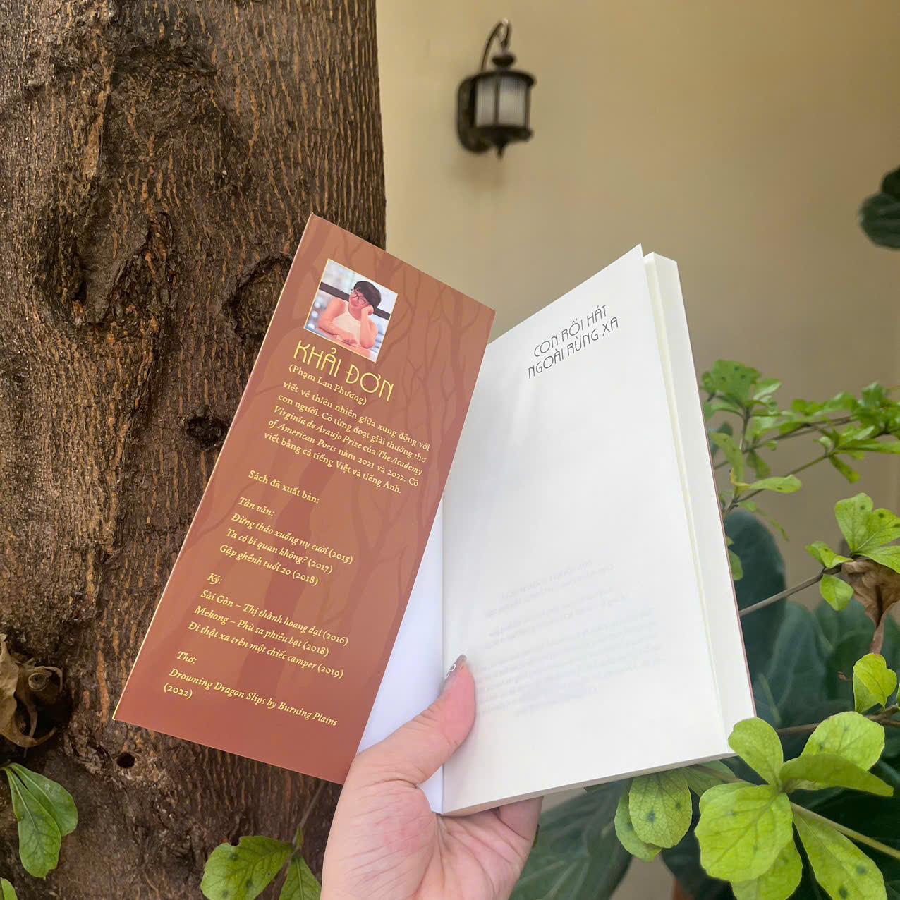 Sách - Con rối hát ngoài rừng xa (Khải Đơn) (Nhã Nam HCM)