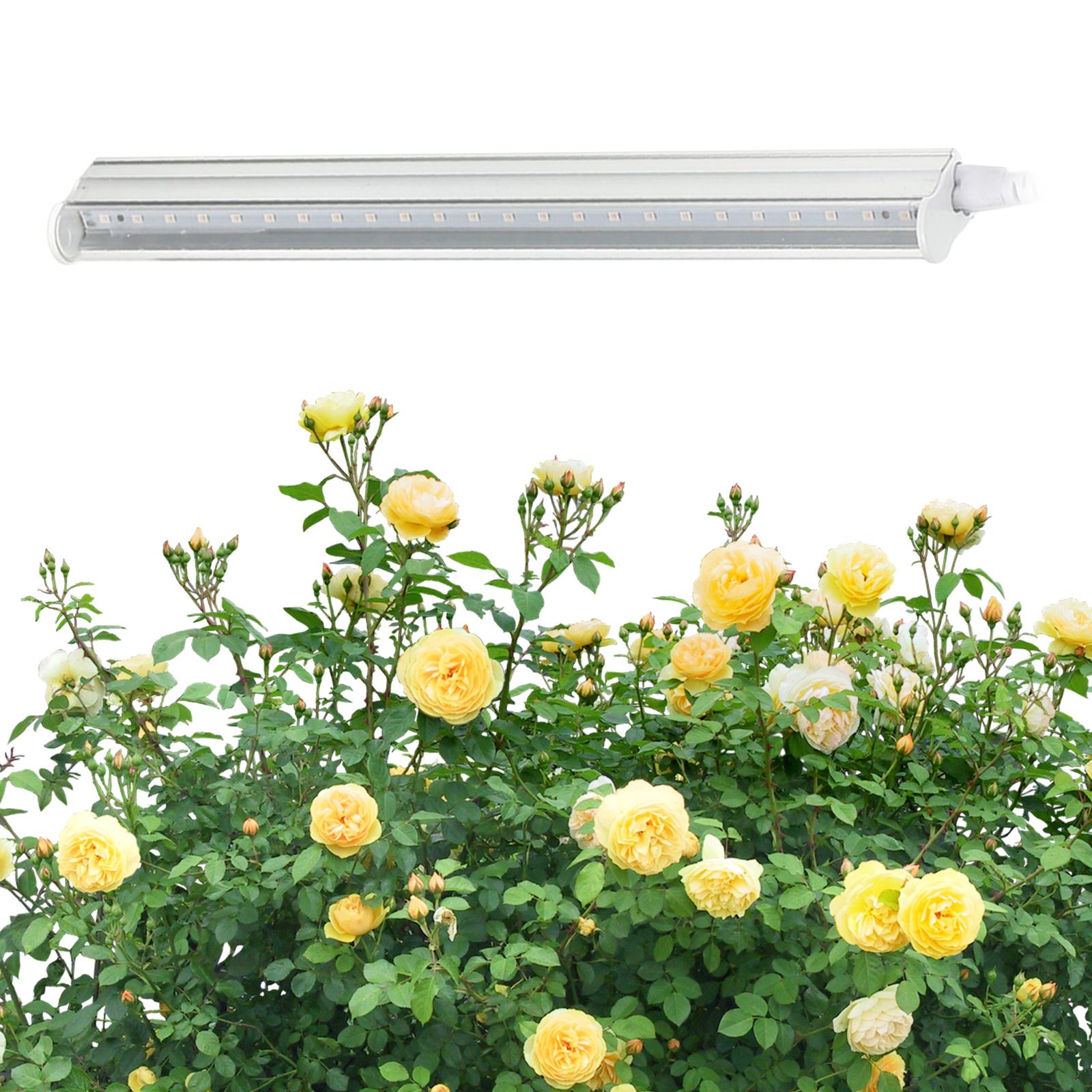 Đèn Led Trồng Cây Quang Hợp Trong Nhà 5W Ánh Sáng Tím