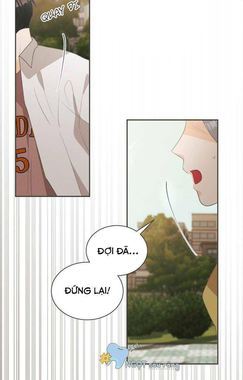 giấc mộng đêm hè chapter 6 46