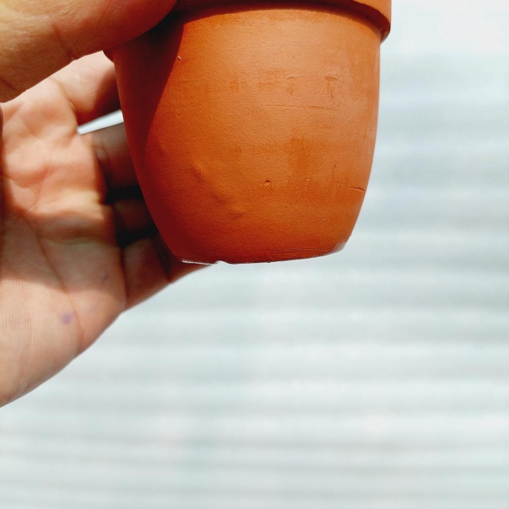 Chậu đất nung Bình Dương - Chậu ly có gờ bo đích, miệng chậu 7cm, chiều cao 7cm