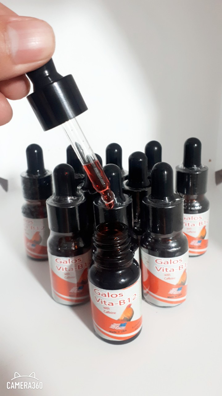 Galos Vita B12 with Caffeine 10ml Dinh Dưỡng Nuôi Tăng Bo Đá Dẻo Dai-Chống Rớt Bo Khi Vận Chuyển