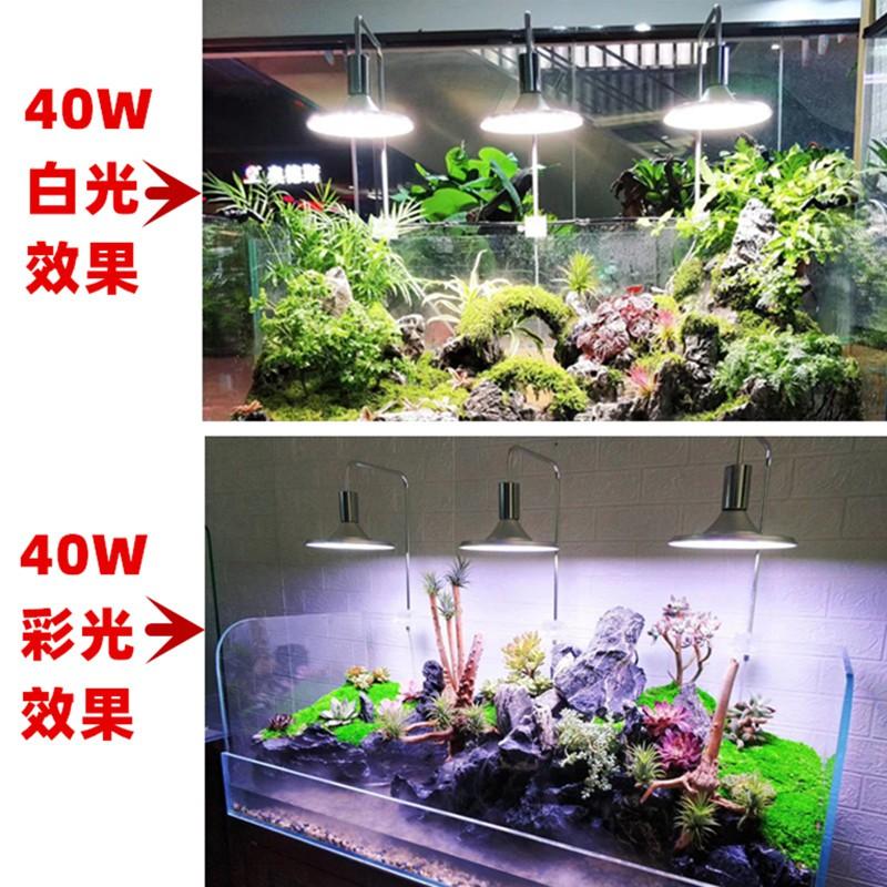 Đèn led kẹp Xima 20w ánh sáng trắng - Đèn led kẹp bể thủy sinh- bán cạn- Phụ kiện cá cảnh -Shopleo