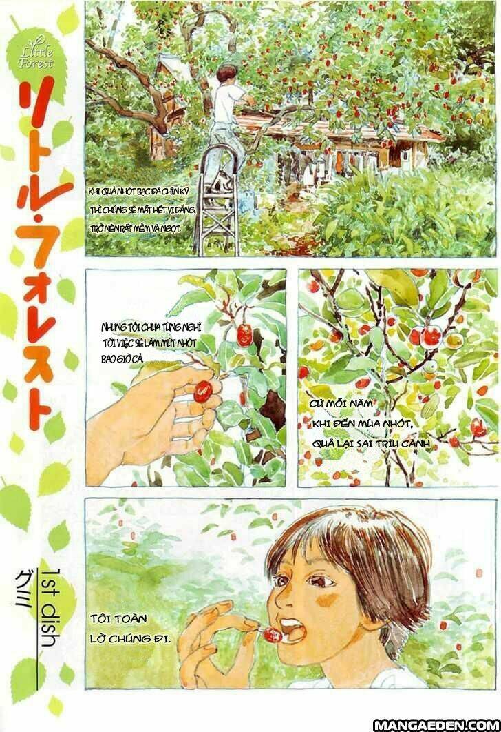 little forest chapter 1 4