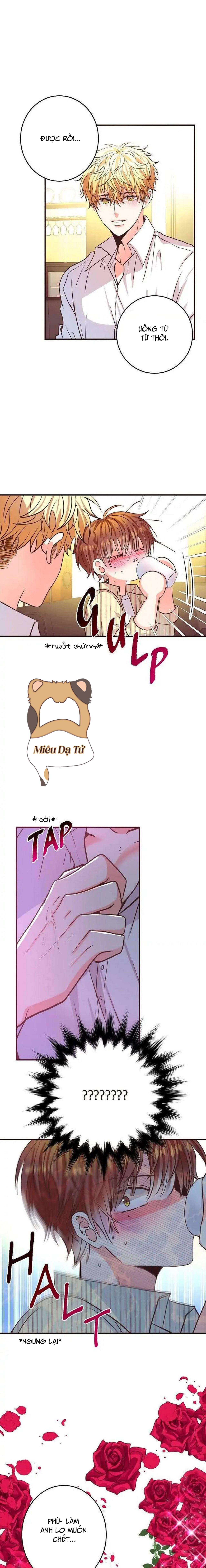 mối quan hệ phù hợp chapter 24 7