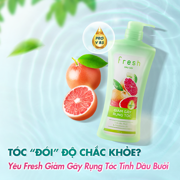 Dầu gội Fresh tinh dầu bưởi giảm rụng tóc 650g ( không xuất hóa đơn đỏ )