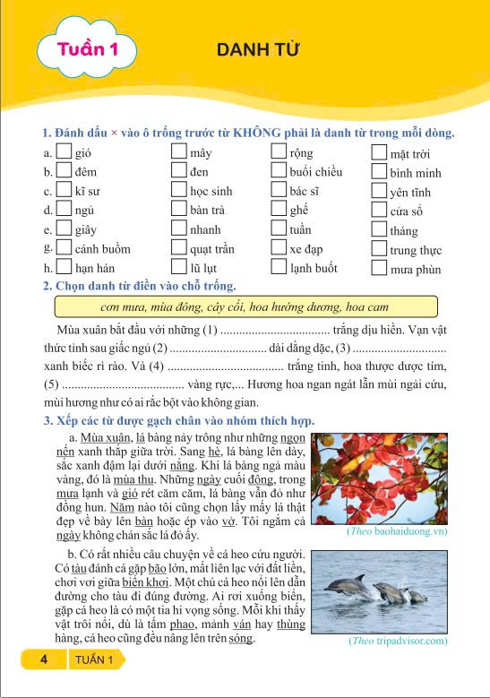 Sách - Vở Bài Tập Nâng Cao Từ Và Câu Lớp 4 ( Theo Chương Trình GDPT mới ) - Kết Nối - Ndbooks