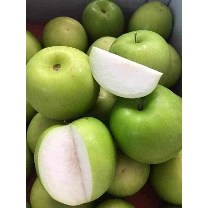 CÂY GIỐNG TÁO THÁI LAN .