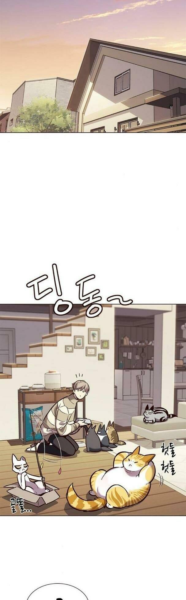 biến thân thành mèo chapter 181 12