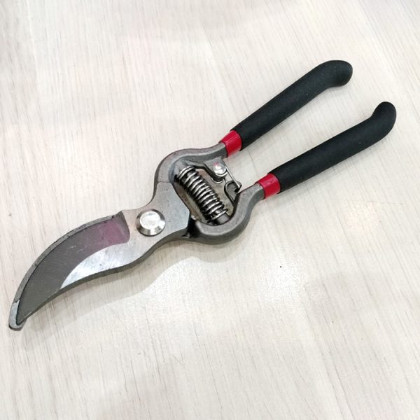 Kéo Cắt Tỉa Cành Cây 20cm