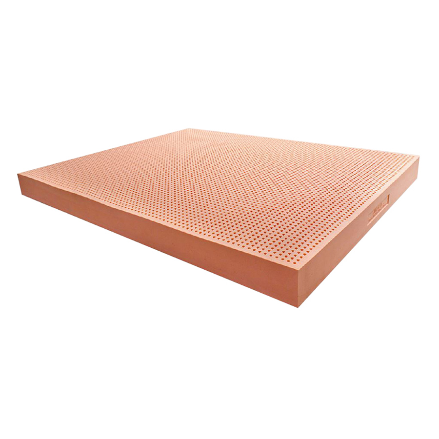 Nệm Cao Su Một Mặt Lỗ Đồng Phú DPCS105 (100 x 200 x 5 cm)