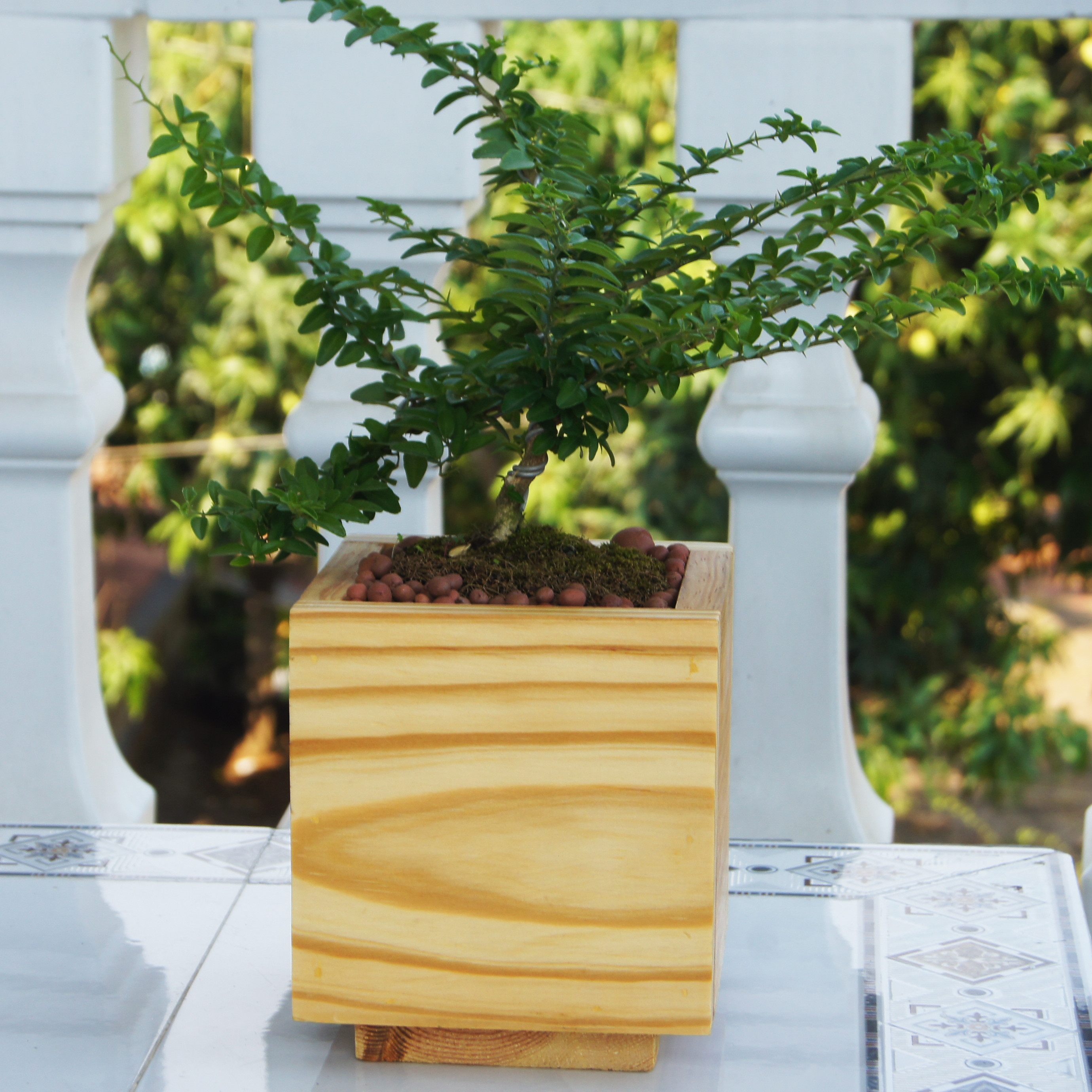 Chậu cây bằng gỗ Hình vuông Đóng thủ công Màu vàng - Kích thước: 13x13cm