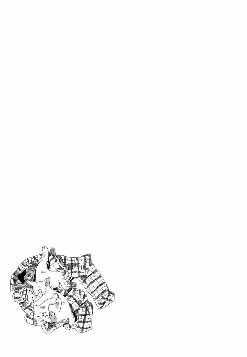 người lạ ven bờ biển chapter 2 45