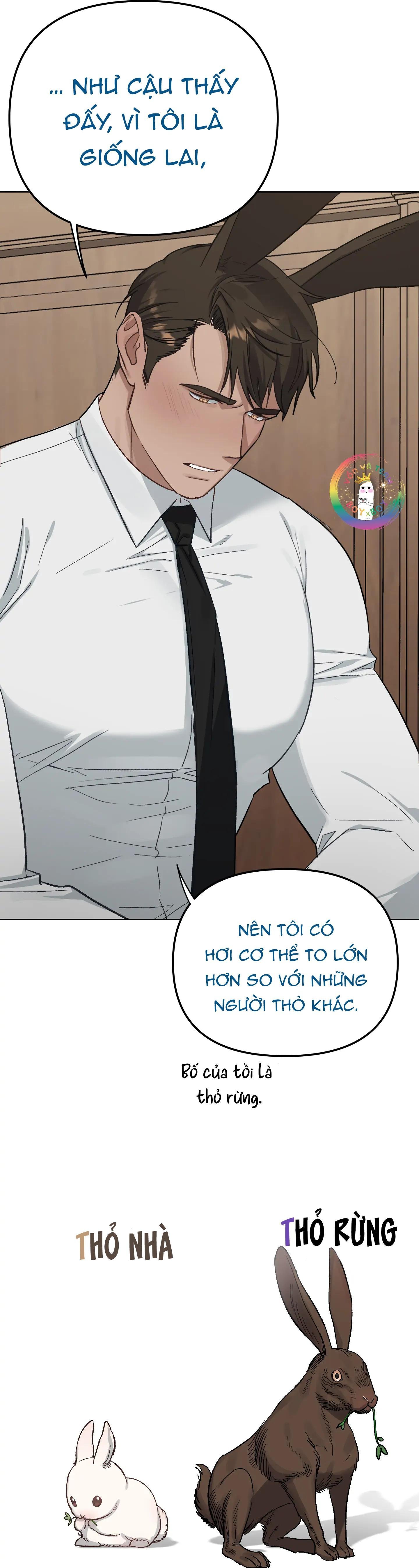 thỏ xuất tinh trong vòng 3 giây chapter 2 37
