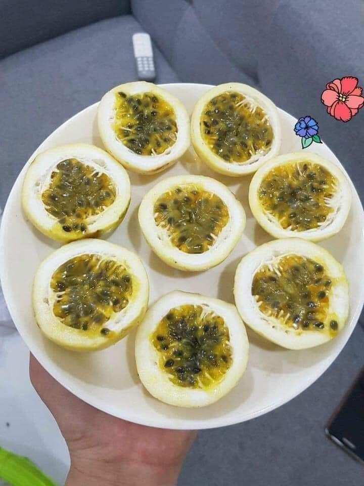 Cây giống chanh leo Columbia siêu sớm