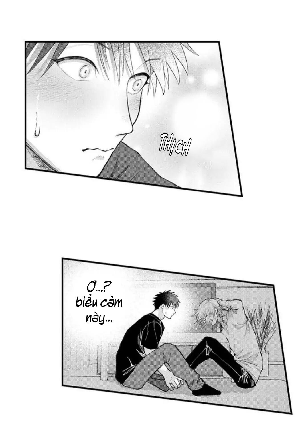 bị tán tỉnh bởi chàng trai lập dị chapter 82 21