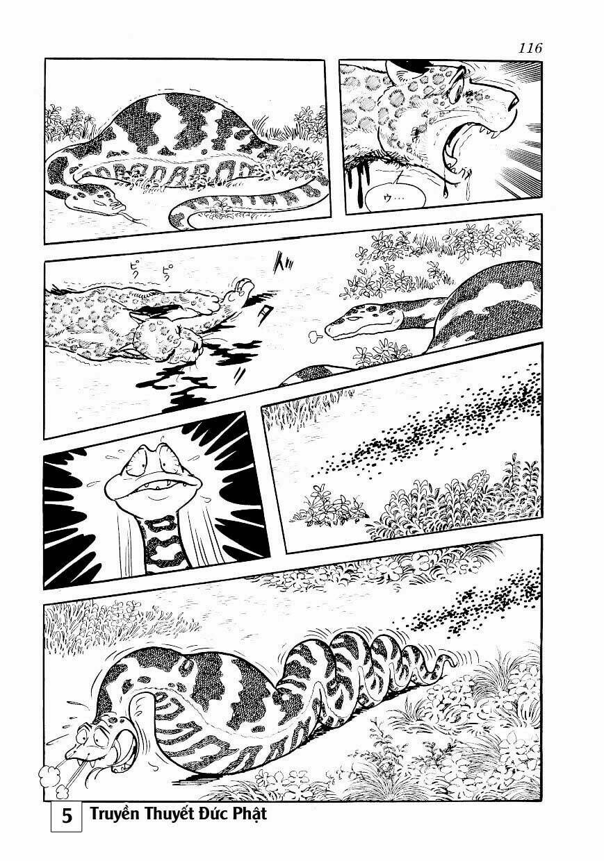buddha - truyền thuyết đức phật chapter 25.1 7