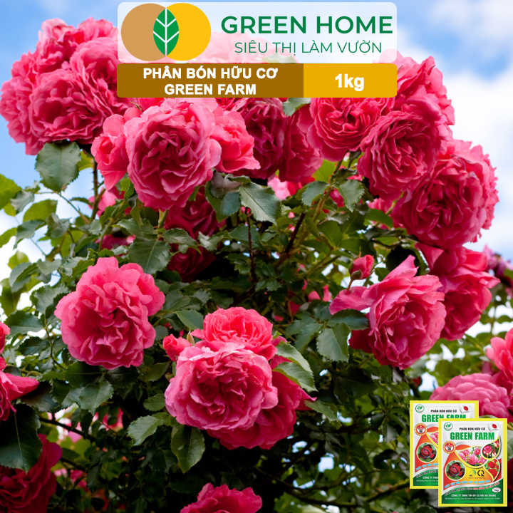 Phân Bón Hữu Cơ Green Farm, GreenHome, Gói 1kg, Chuyên Dùng Cho Cây Cảnh, Hoa Hồng