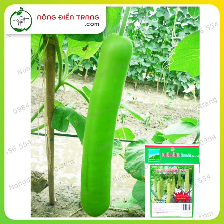 Hạt Giống Bầu Dài Lai F1 Phú Nông - Gói 1g - Trái suôn dài, da láng, năng suất cao, kháng bệnh tốt VTNN Nông Điền Trang