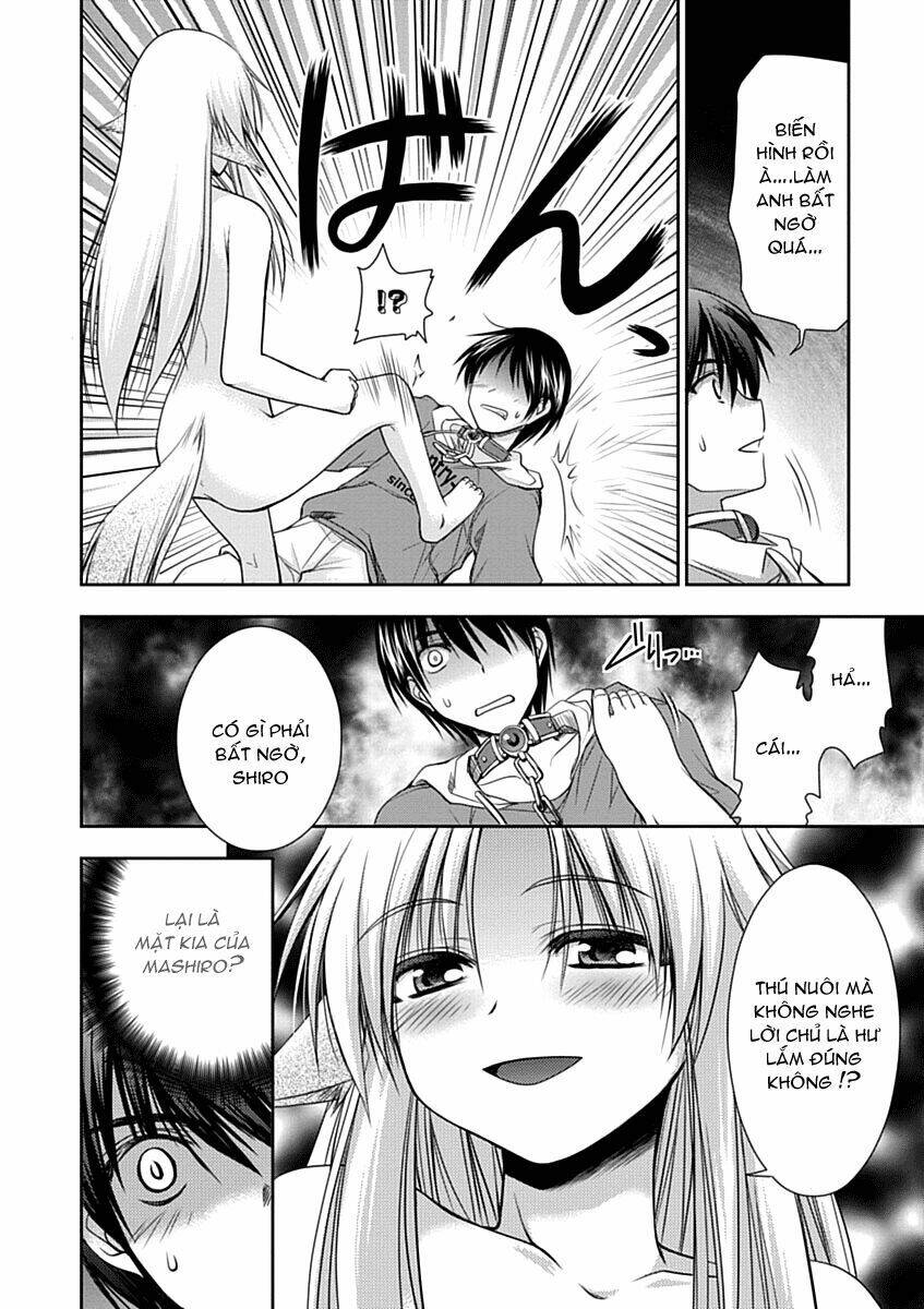 perowan! - hayaku shinasai! goshujinsama chapter 6 20