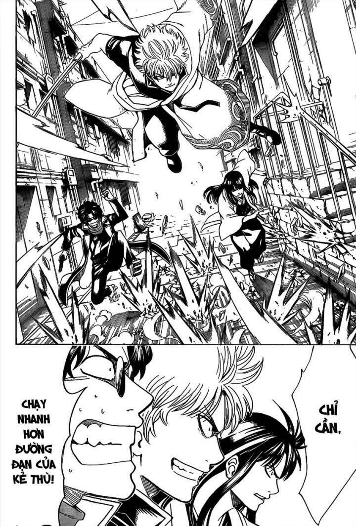 gintama - linh hồn bạc chapter 560 10
